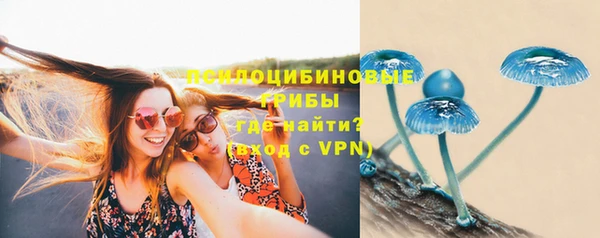 стафф Абаза