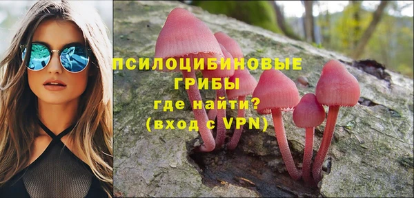 стафф Абаза
