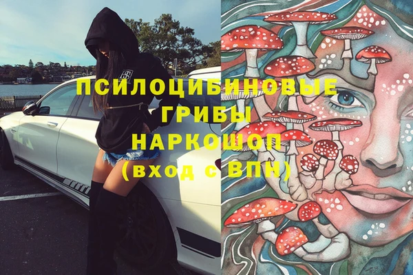 a pvp Абинск