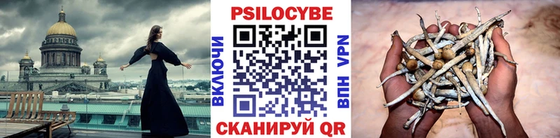 где купить наркоту  Нижнекамск  Псилоцибиновые грибы MAGIC MUSHROOMS 